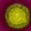 LBTI starts the formulation of promising antiviral drugs against Covid-19 for pulmonary delivery