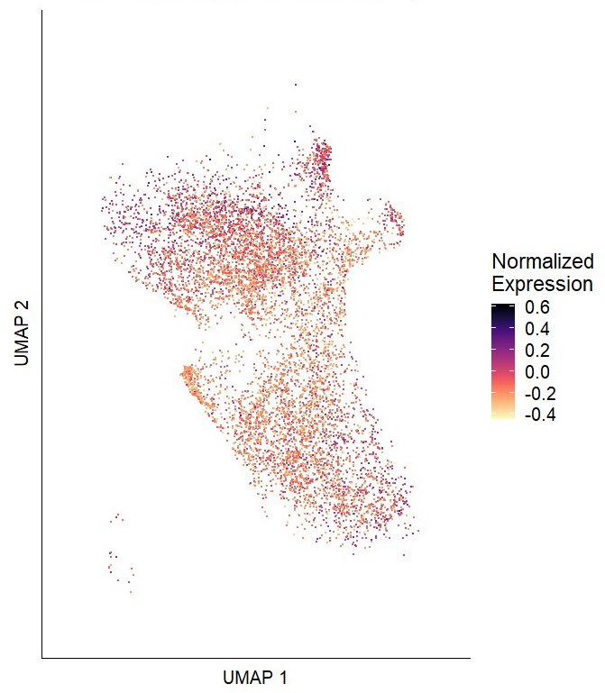 Single cell analysis